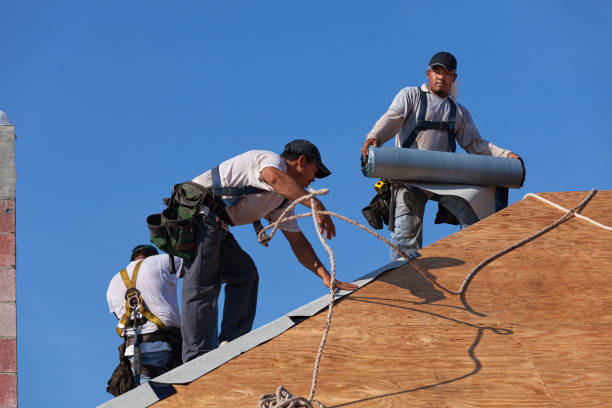 Best Roof Gutter Cleaning  in Williamsport, MD